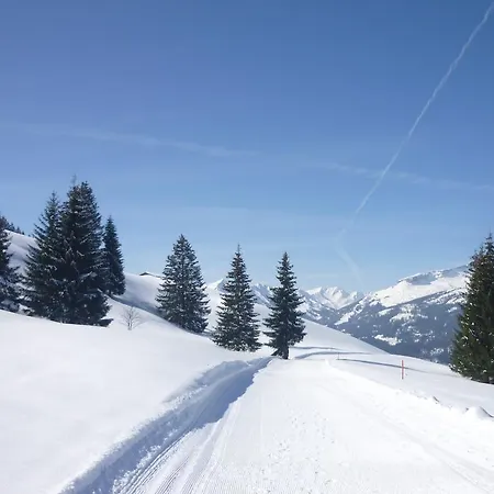 Aigner-vogler Lägenhet Fischen im Allgaeu