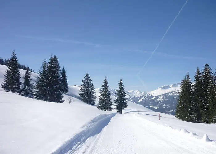Aigner-vogler Lejlighed Fischen im Allgaeu