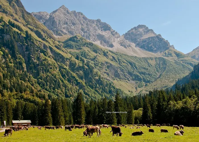 Lejlighed Aigner-vogler Fischen im Allgaeu